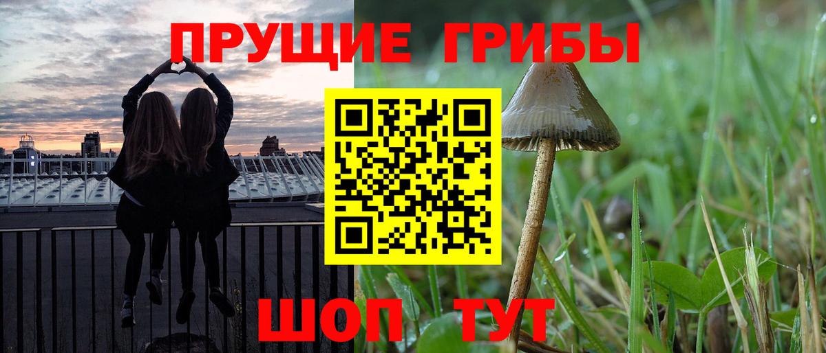 Псилоцибиновые грибы Psilocybe  Вход с VPN  закладки  Рассказово 